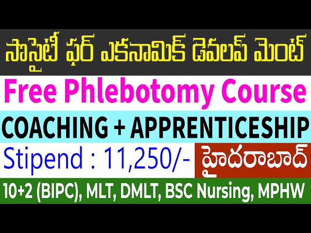 phlebotomist jobs in hyderabad