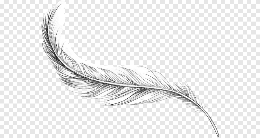 feather tattoo png
