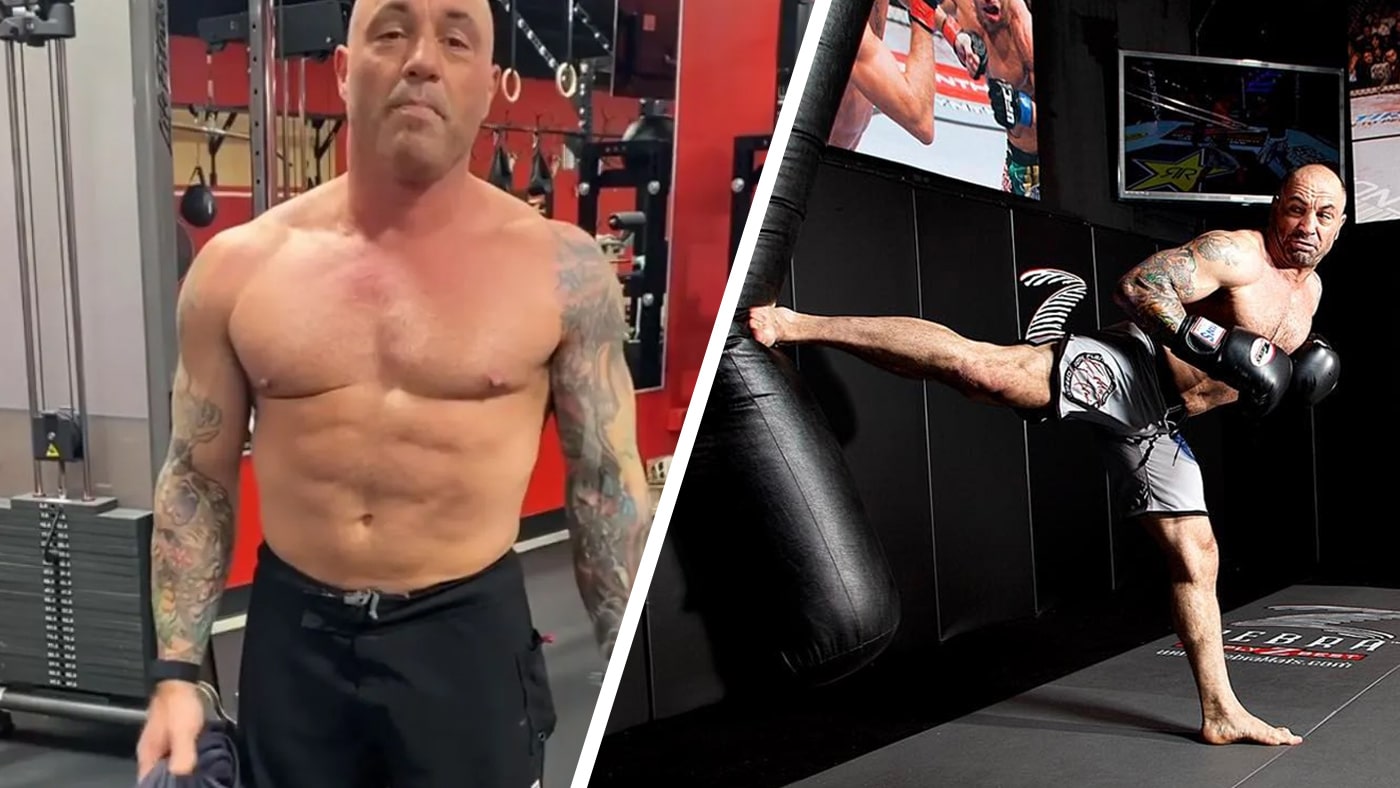 joe rogan abs