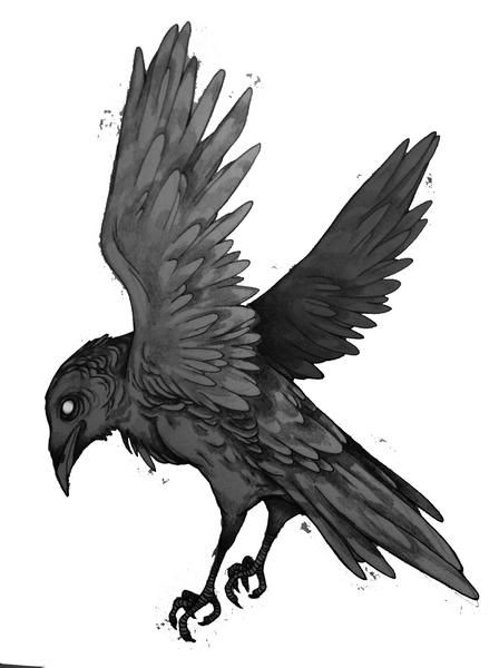 crow bird drawing