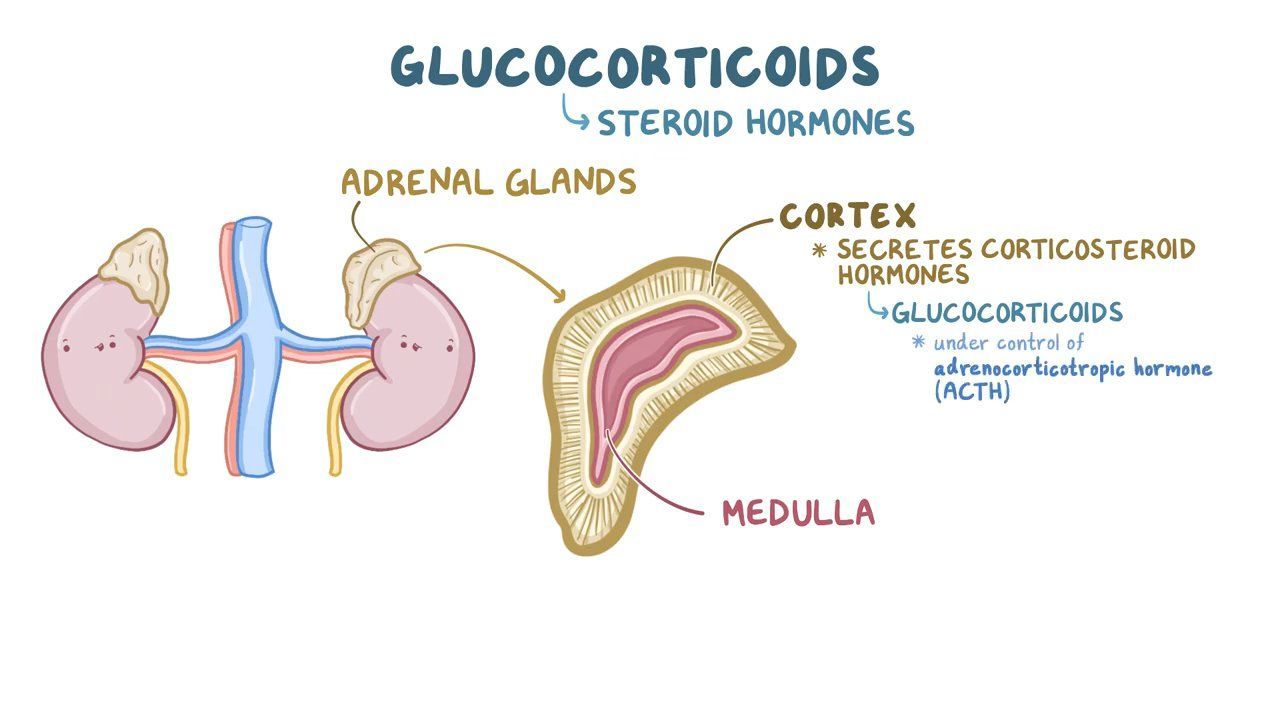 define jaw claudication