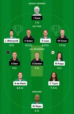 nz w vs sa w scorecard