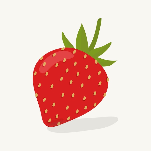 strawberry illustration