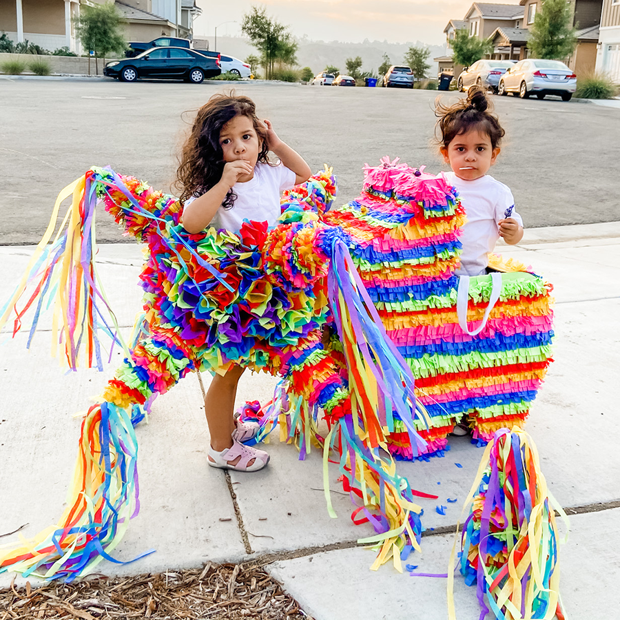 homemade pinata costume