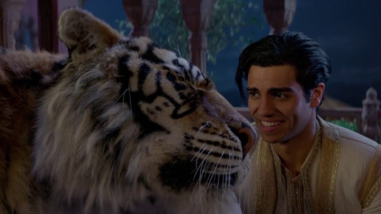 what was the name of the tiger in aladdin