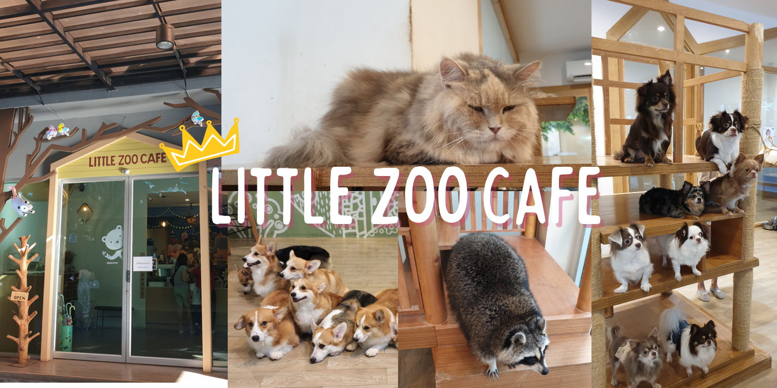 little zoo cafe bangkok