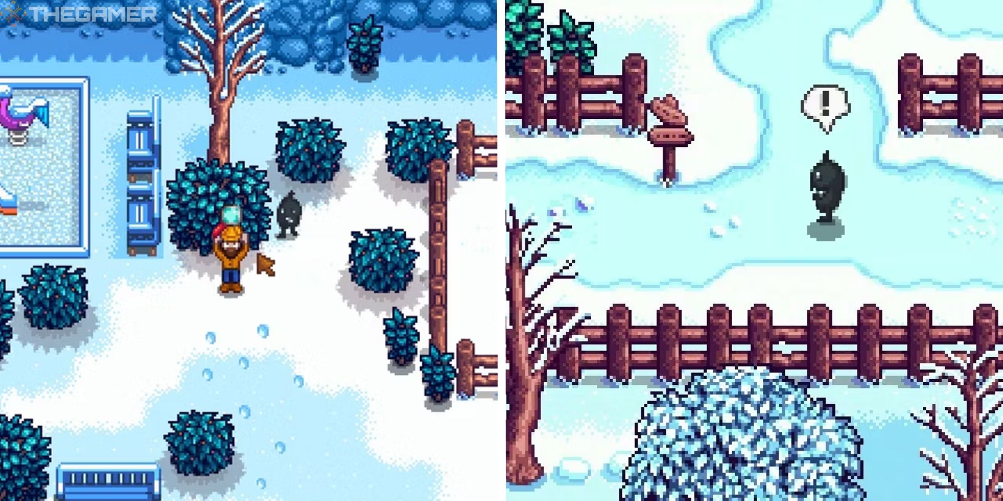 stardew valley winter mystery quest