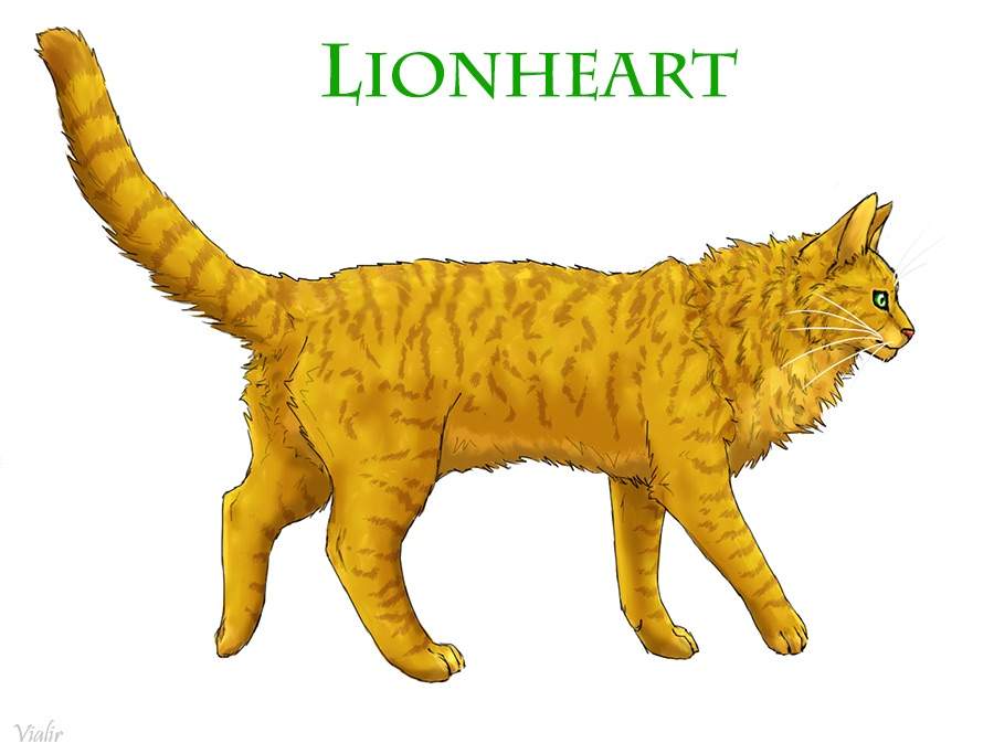 warrior cats lionheart