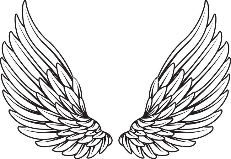 angel wings vector