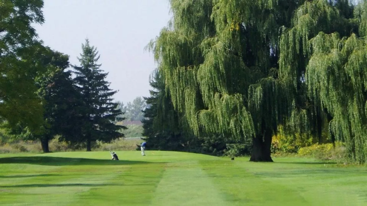 cresthaven golf club