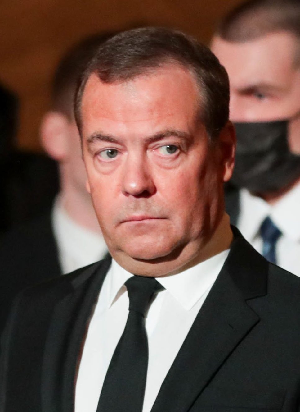 medvedev wiki