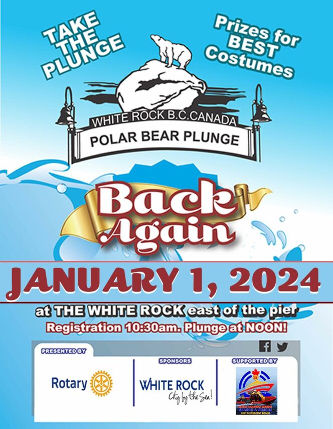 white rock polar bear swim 2024