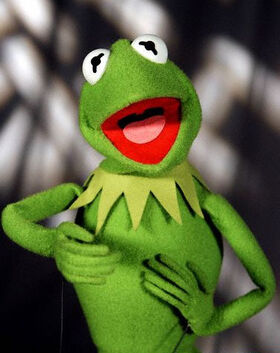 kermit the frog pics