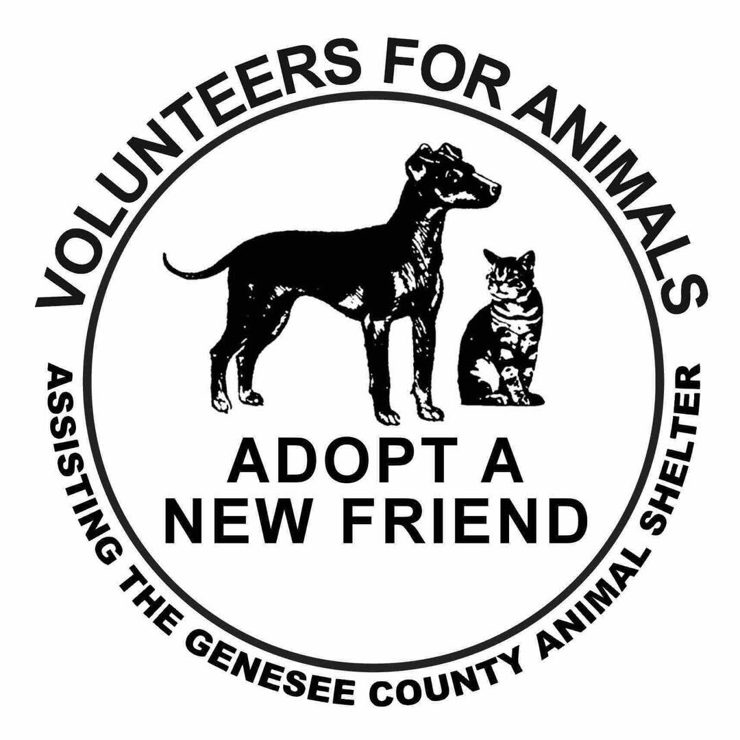 animal shelters genesee county