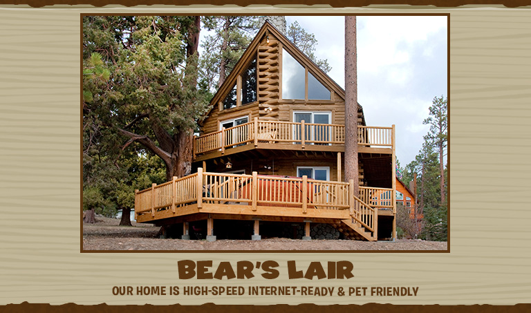 big bear cabin rentals pet friendly