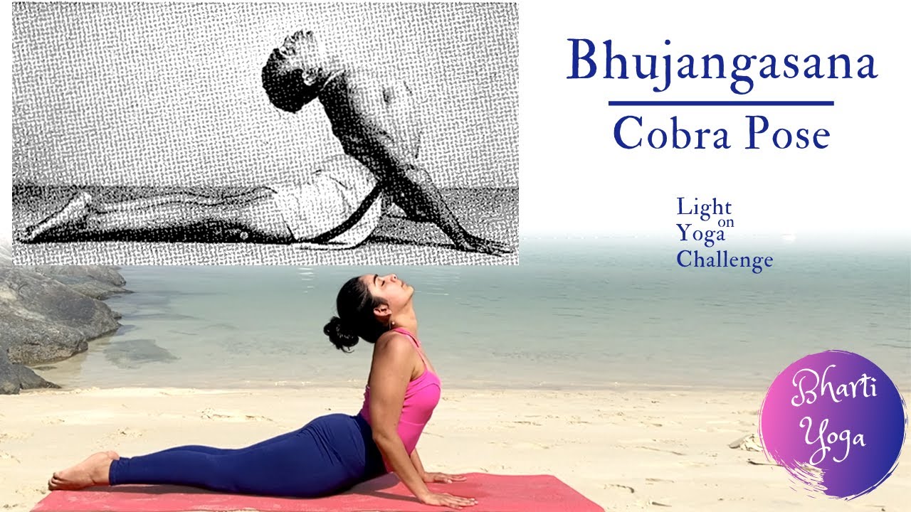 bhujangasana iyengar