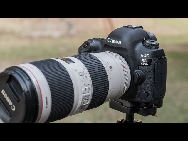 5d mark vi