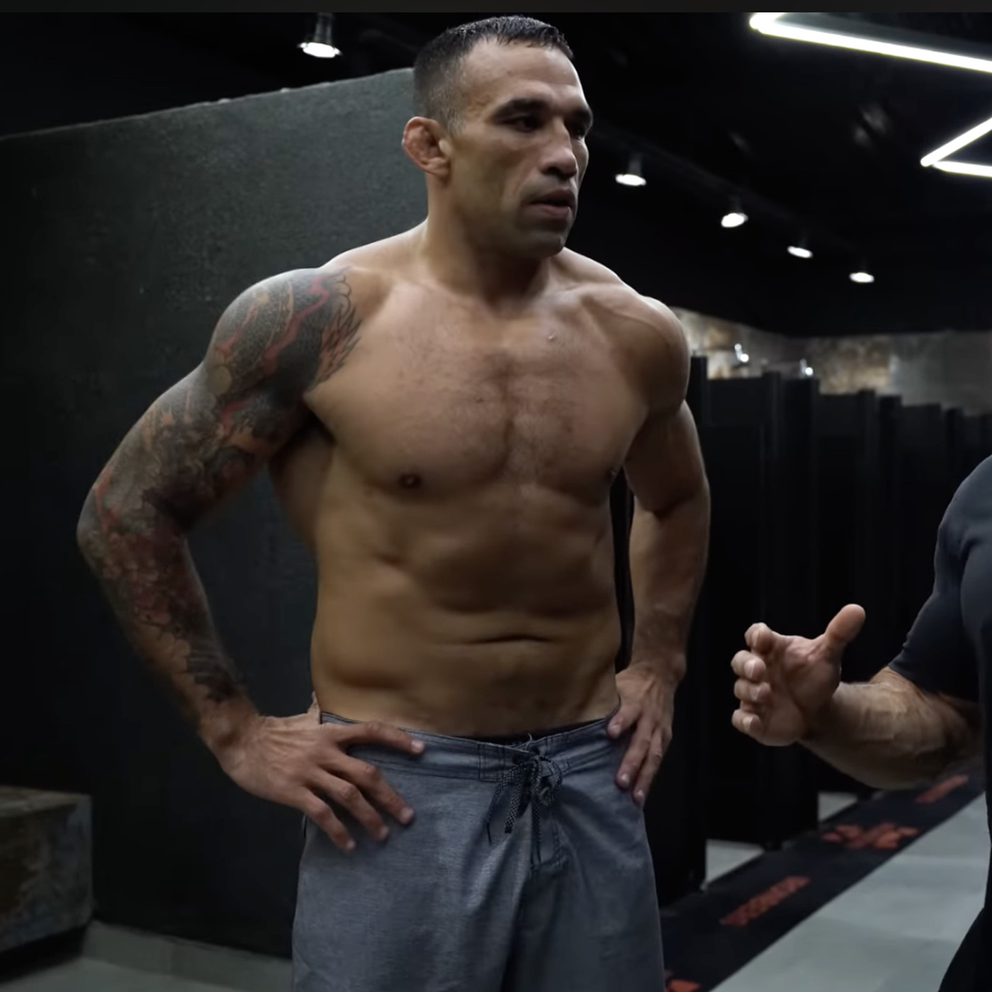 fabricio werdum