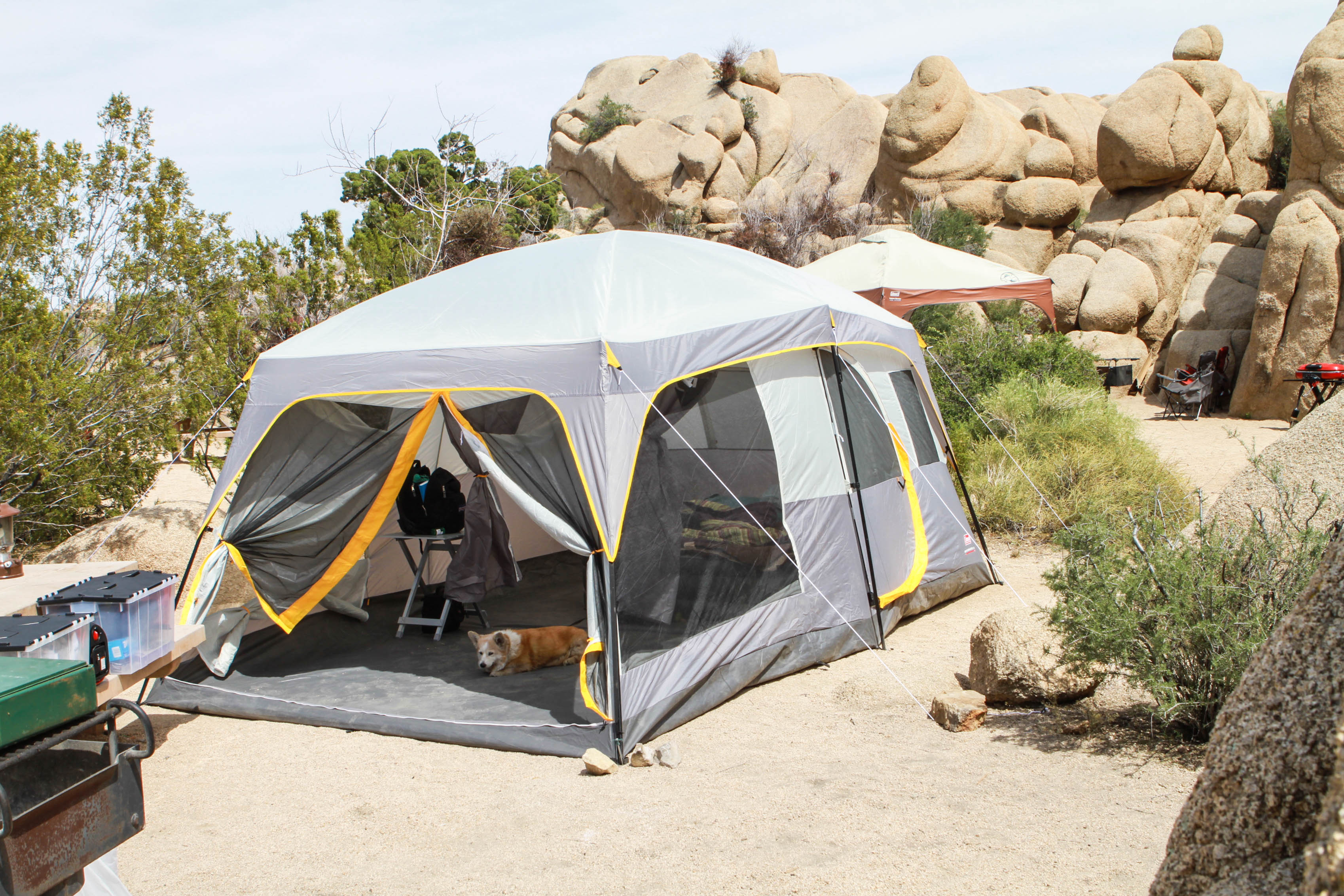 coleman ten person tent