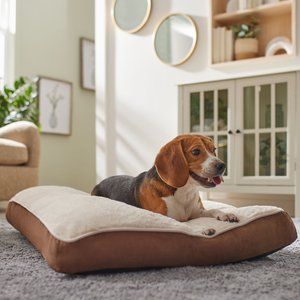 chewy dog bed