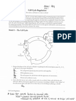 pogil cell cycle