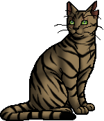 warrior cats longtail