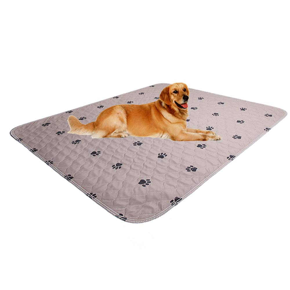 reusable pee pads for dogs