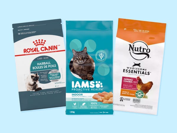 top rated dry cat food