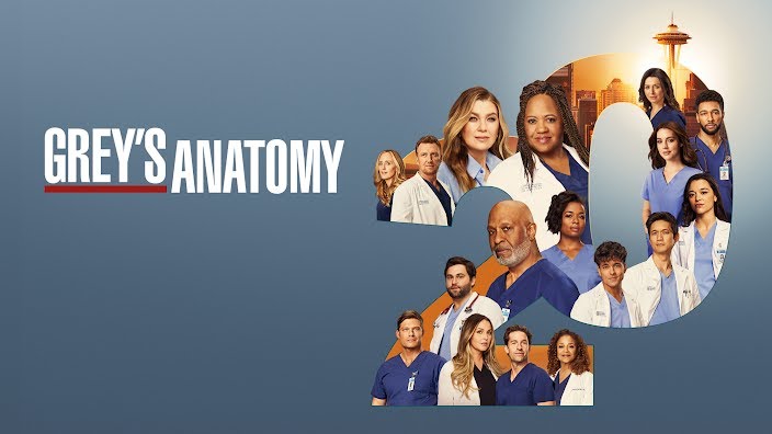 greys anatomy season nine