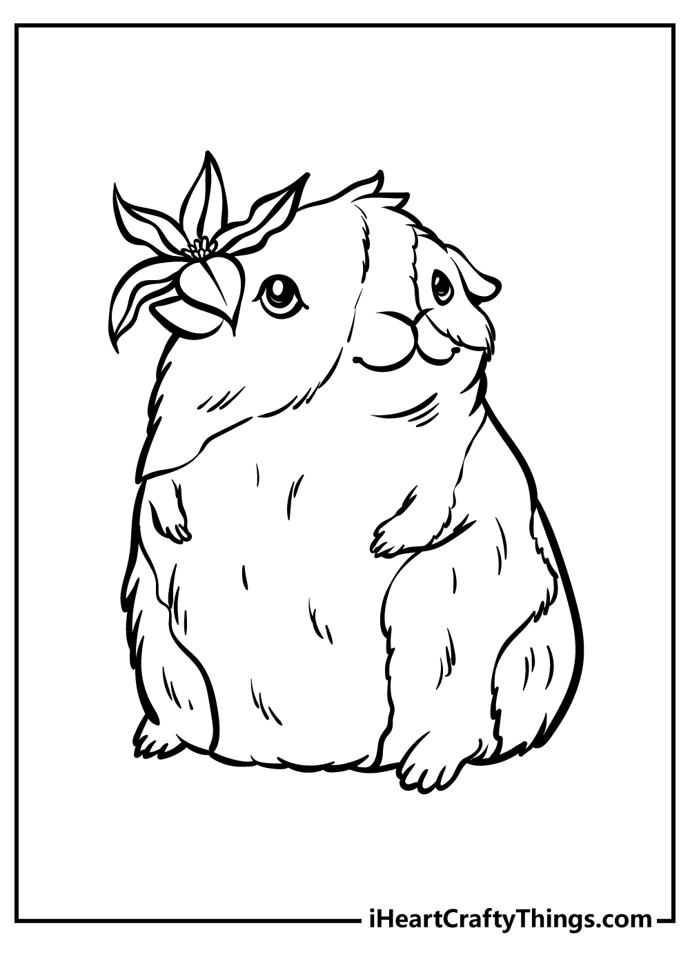 guinea pigs colouring pages