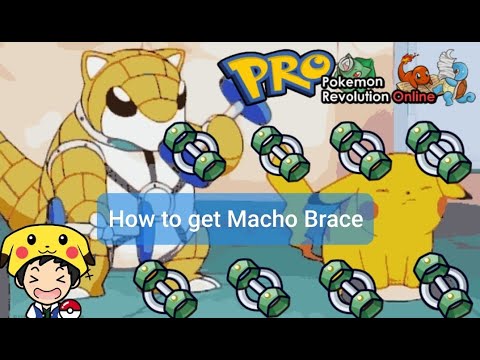 macho brace