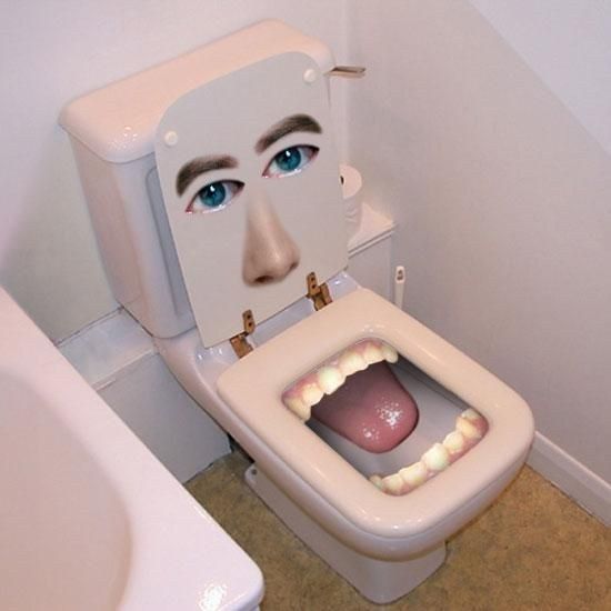 funny toilet images