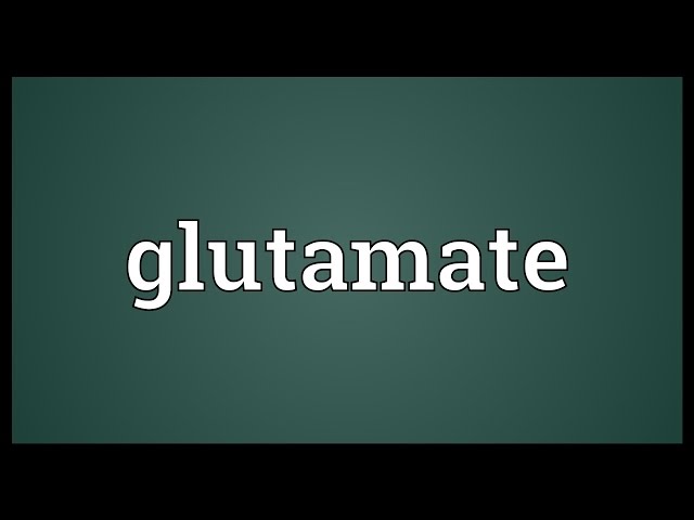 glutamate meaning in hindi