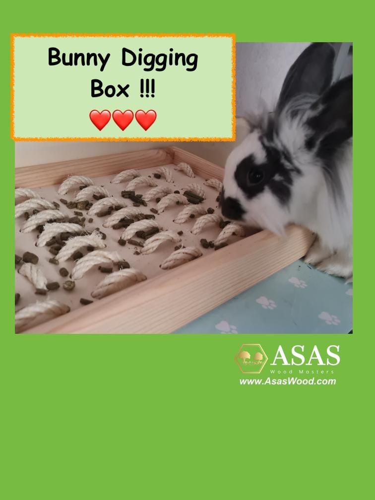 rabbit digging box