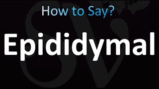 epididymal pronunciation