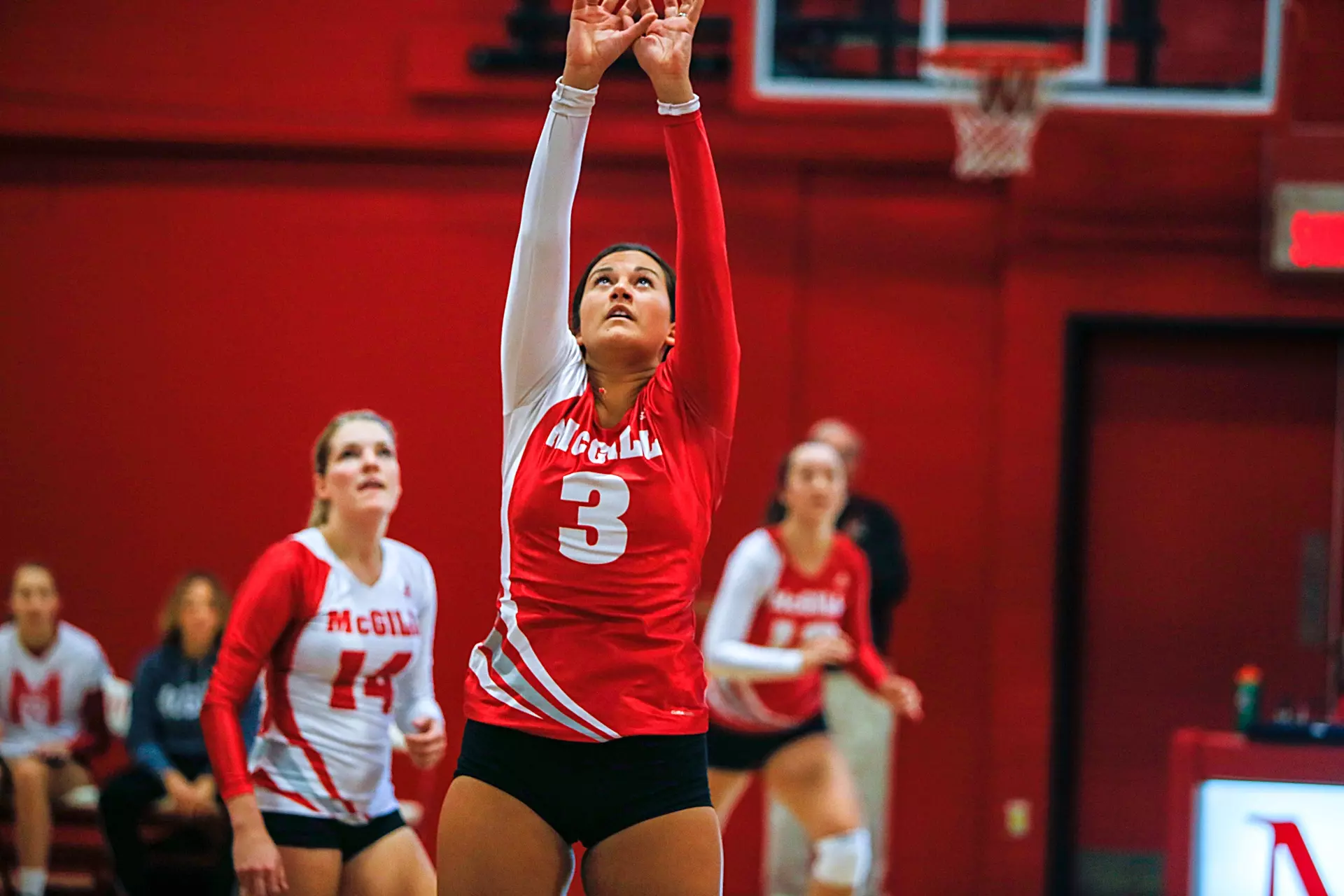 mcgill university volleyball