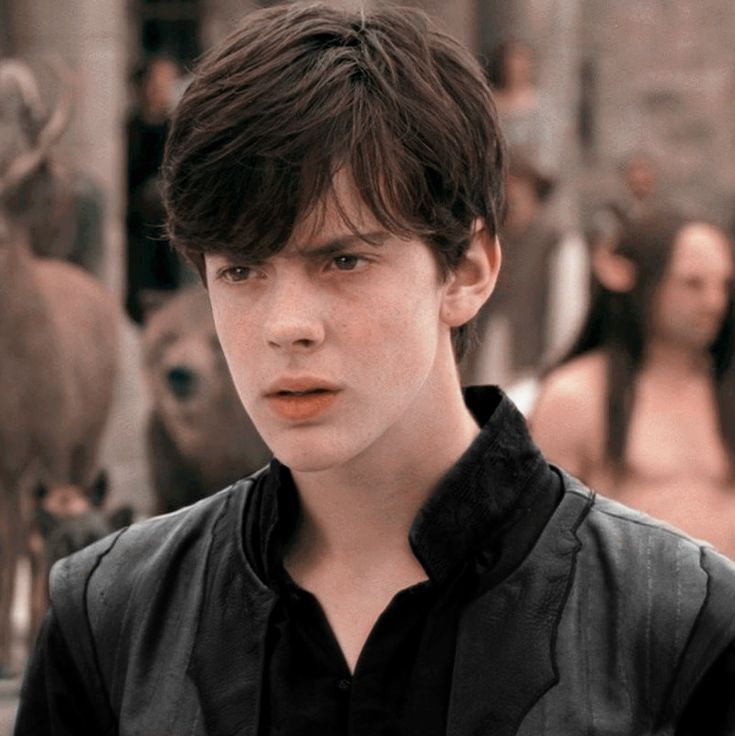 edmund pevensie