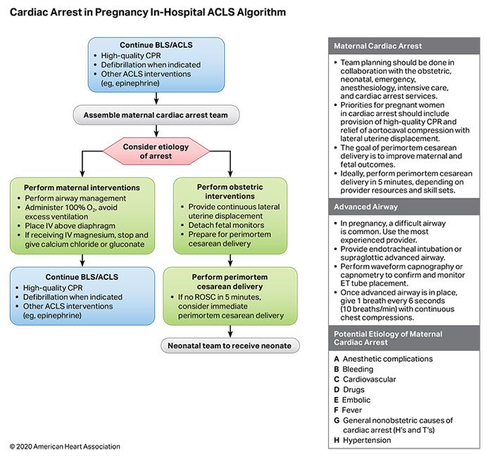 acls algorithm