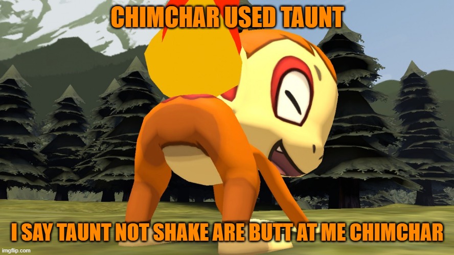 chimchar meme