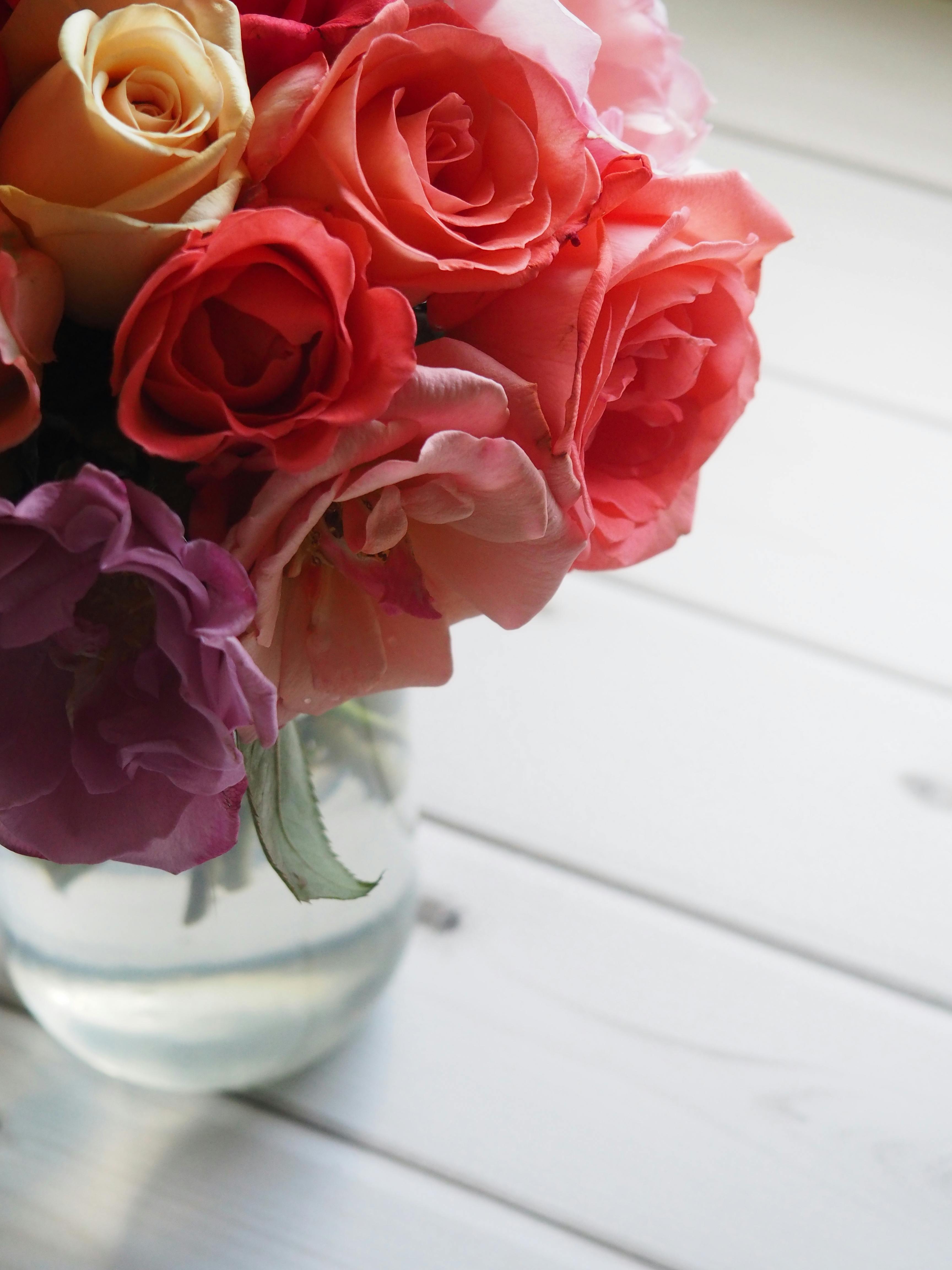 images of bunch of flowers