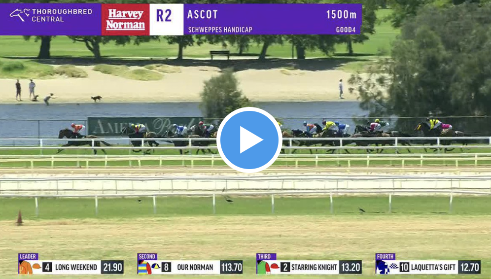 ascot australia race results