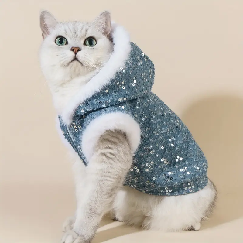 cat coats for winter