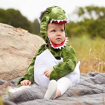 baby dinosaur costume