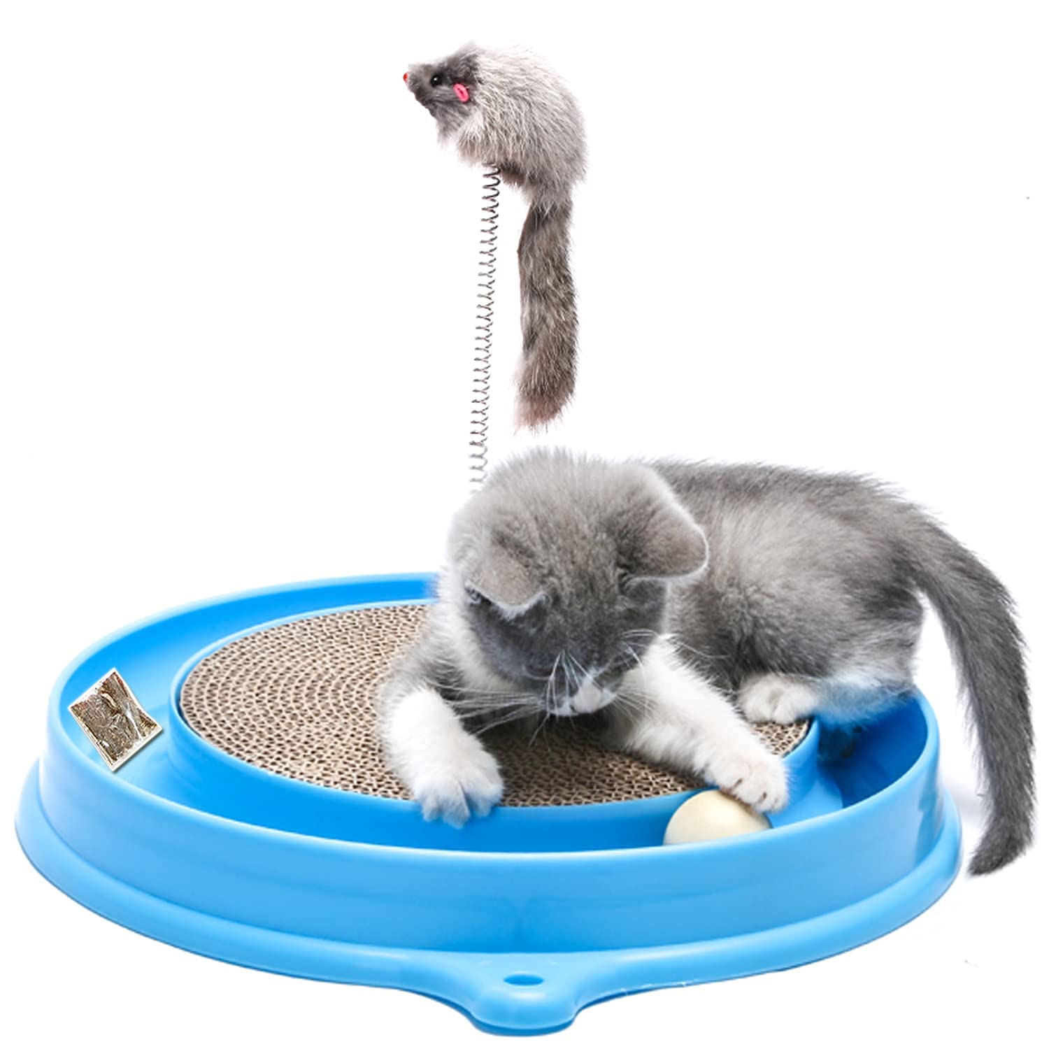 cat scratch toy