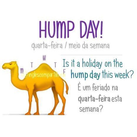 humpday significado