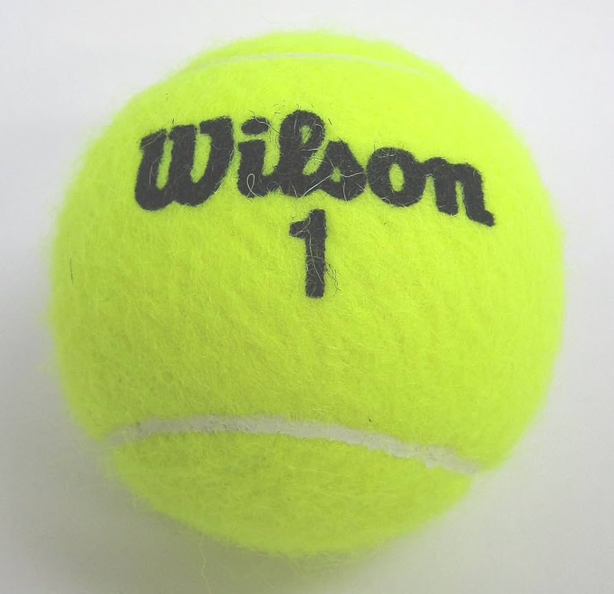 wilson tennis ball price