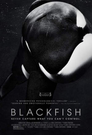 blackfish documentary watch online