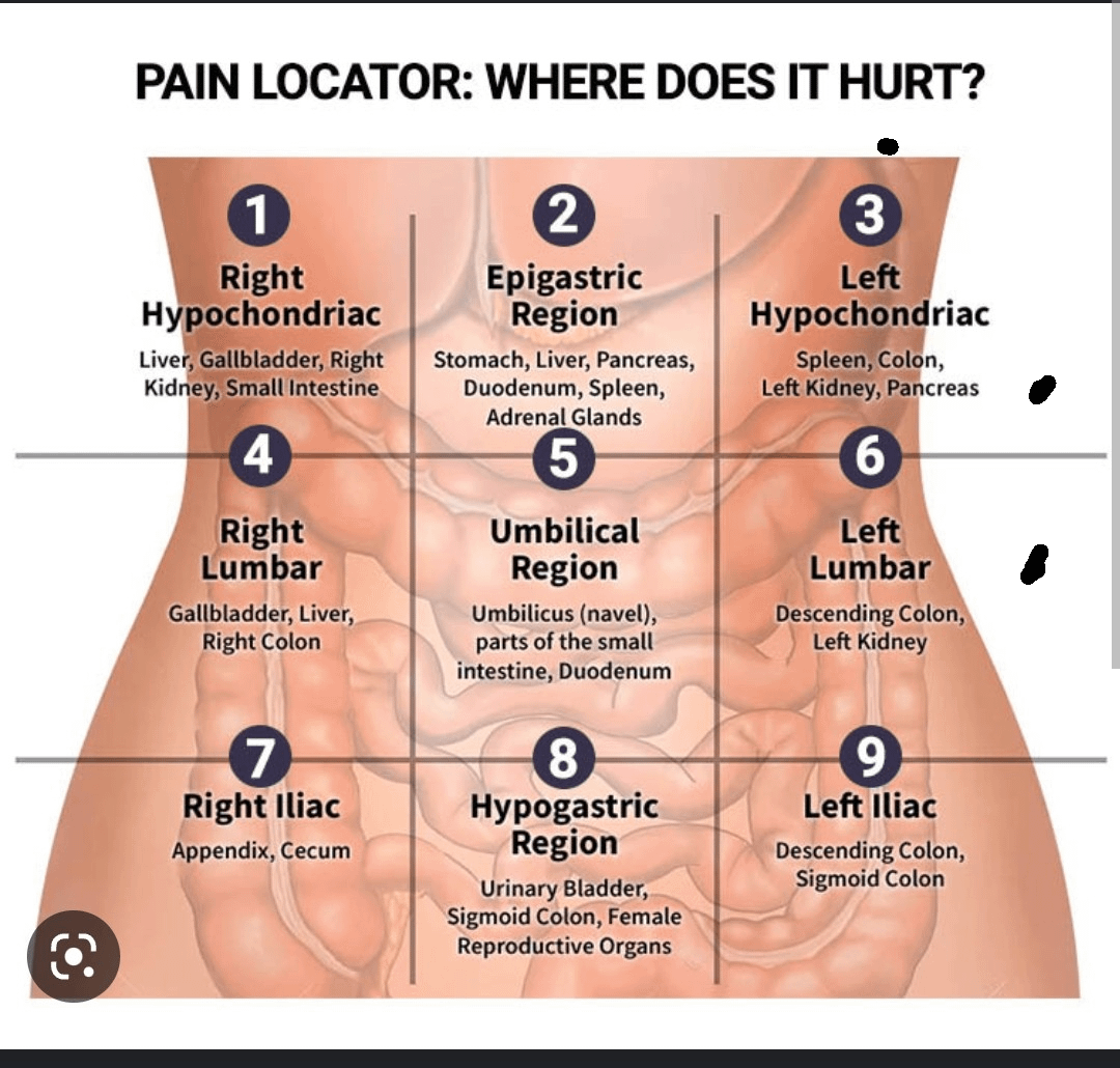 female pain under left rib cage