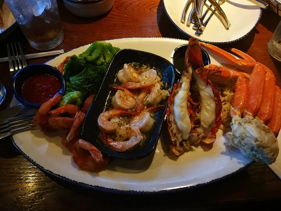 red lobster tampa palms reviews