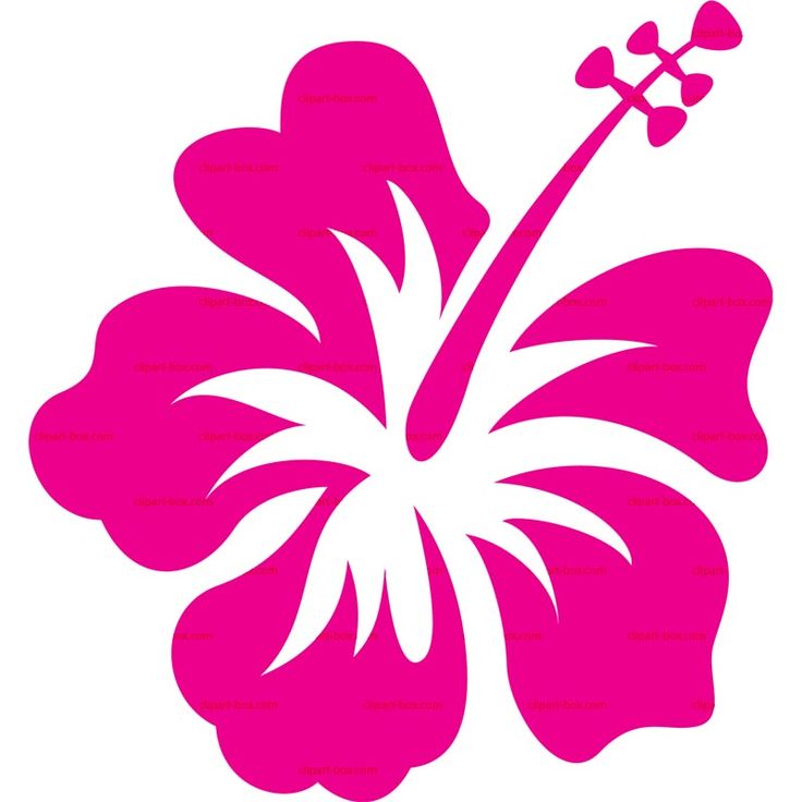 hibiscus clip art